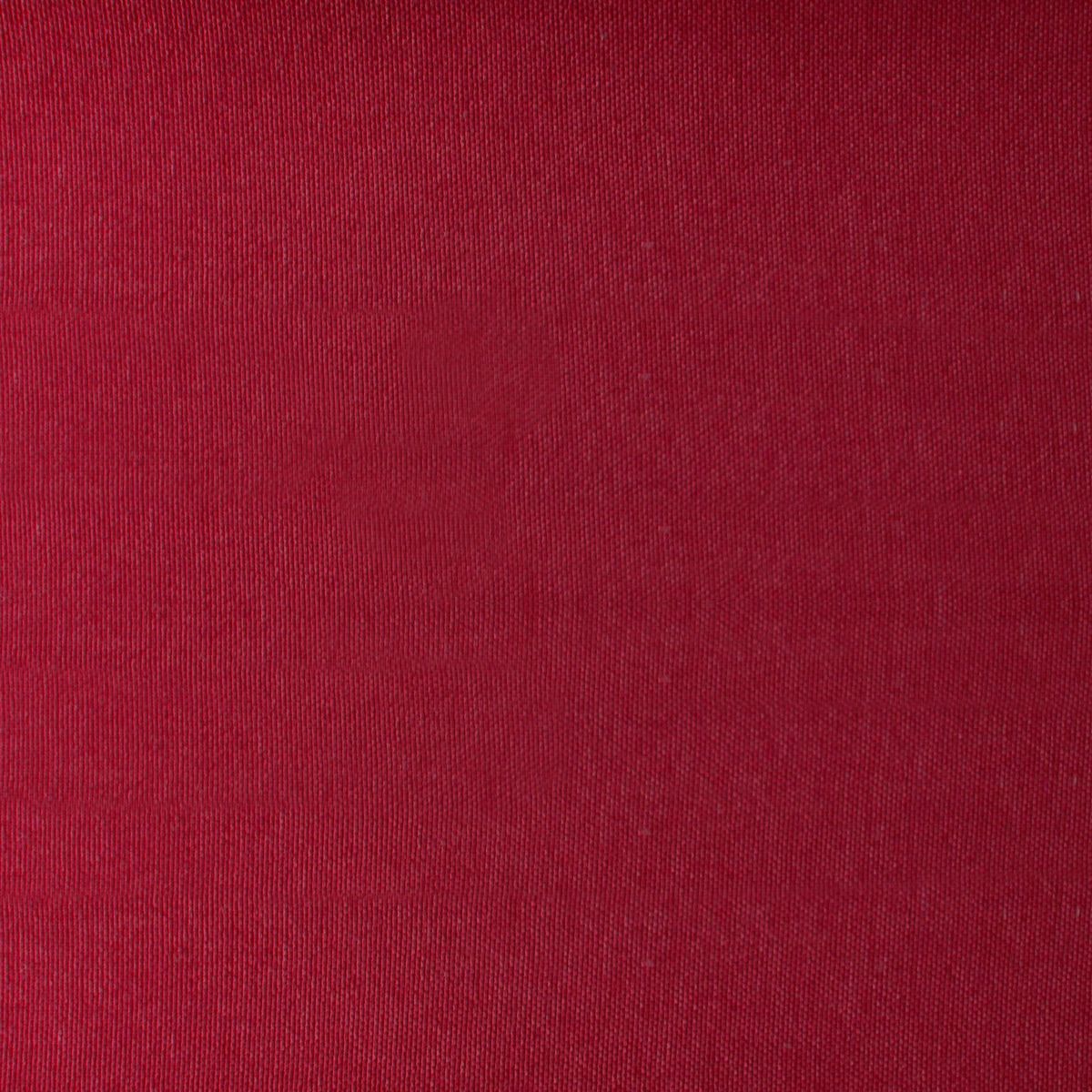 Juego de Fundas de Duvet Koala- Microfibra Ultra Suave - Tamaño y Color a Elegir